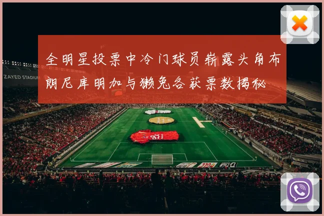 全明星投票中冷门球员崭露头角布朗尼库明加与獭兔各获票数揭秘