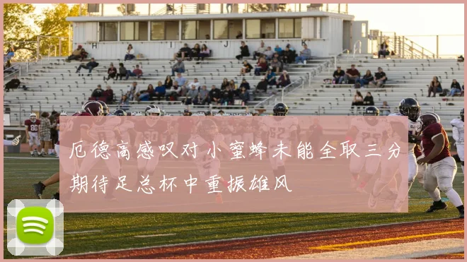 厄德高感叹对小蜜蜂未能全取三分期待足总杯中重振雄风