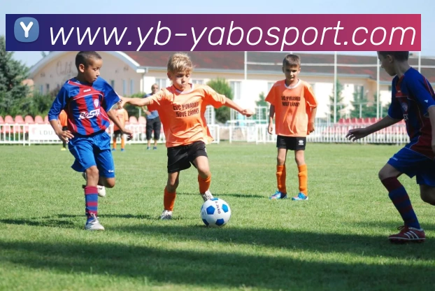 亚博足球平台生态图