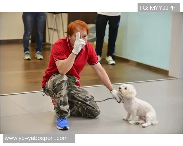 悬赏金激增至两万美元拉姆塞全力寻回心爱爱犬 悬赏金激增至两万美元拉姆塞全力寻回心爱爱犬